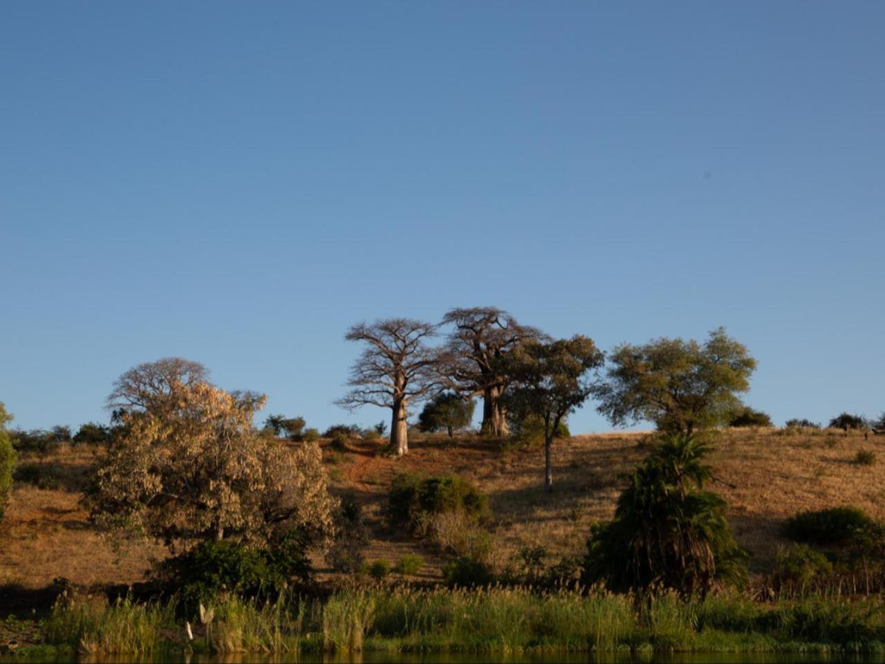 Kayova River Lodge Ndiyona Luaran gambar
